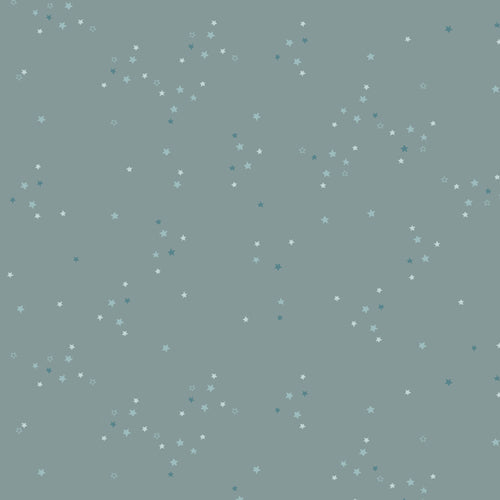 Art Gallery Fabrics - Adventale - Twinkle little Stars Sky ADV25907