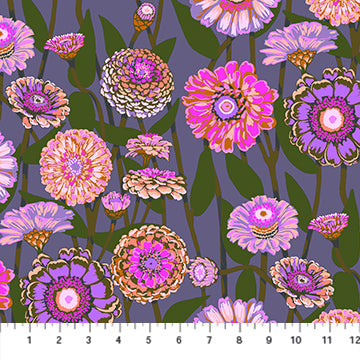 Anna Maria - Jumpstart -Zinnia Show AMT 13182V