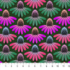 Anna Maria - Perennial Borders - Echinacea Rhythm AMT13678L