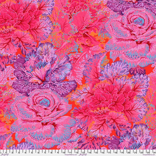 Kaffe Fassett Collective - August 2023 - Curly Kale Red