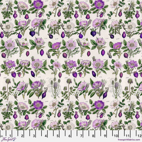 Tim Holtz - Palette Purple - Botanical PWTH306