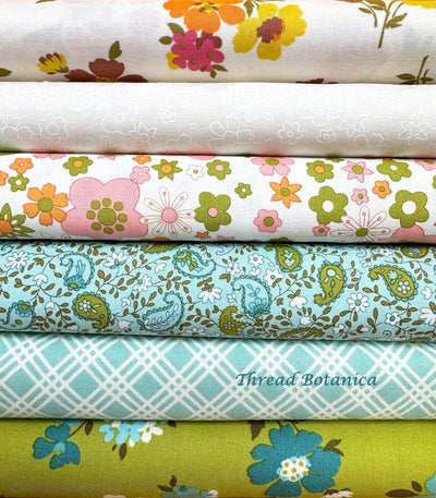 Moda Fabrics - Happy Daze Bundle (6 fabrics)