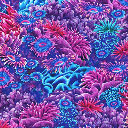 Robert Kaufman - Coral Canyon - Caribbean